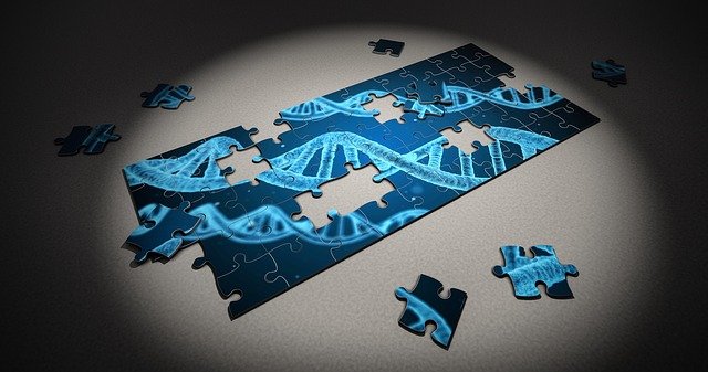 Puzzle con piezas que faltan en el ADN