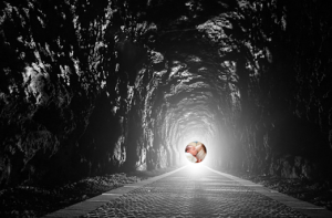 Túnel infertilidad