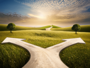 Cruce entre dos caminos, decisión