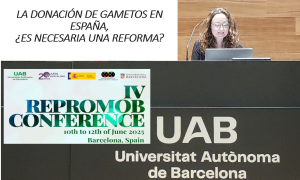 Laura Rabinad hablando en la REPROMOB