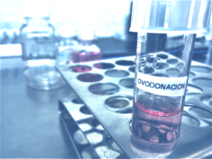 Laboratorio de reproducción asistida